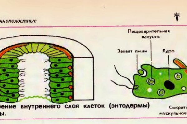 Кракен актуальное зеркало 2kmp