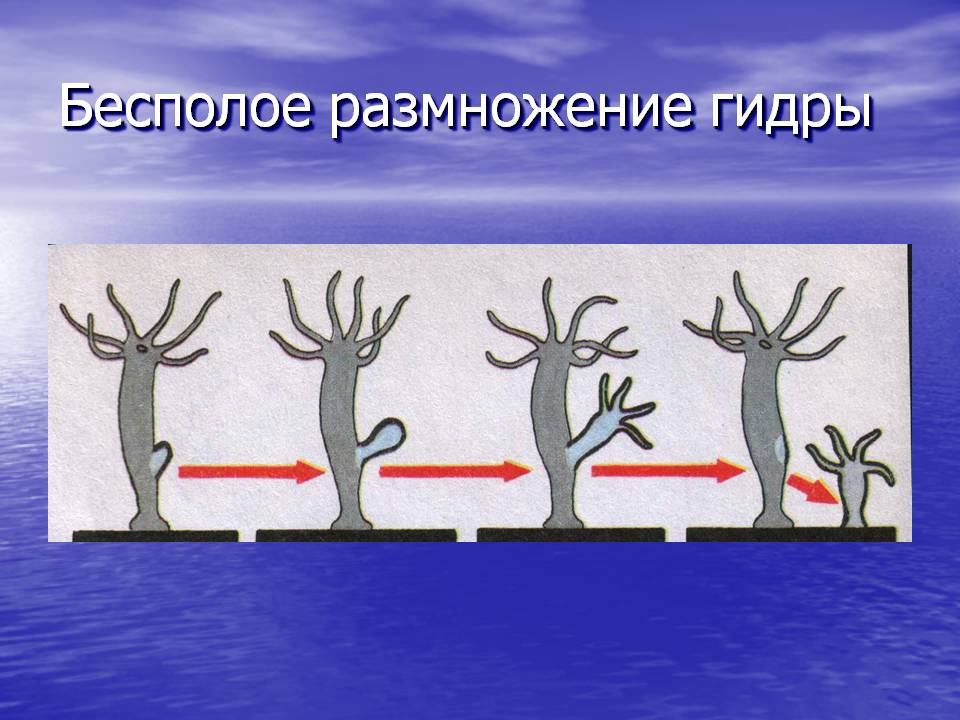 Kraken 15at сайт